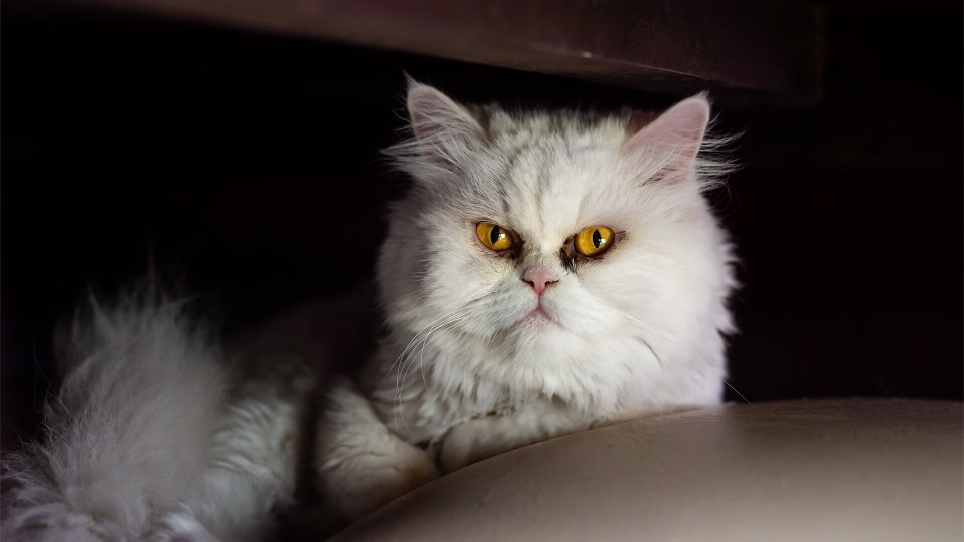 台球赛事中的“冷门”出局，深度分析原因，台球最近