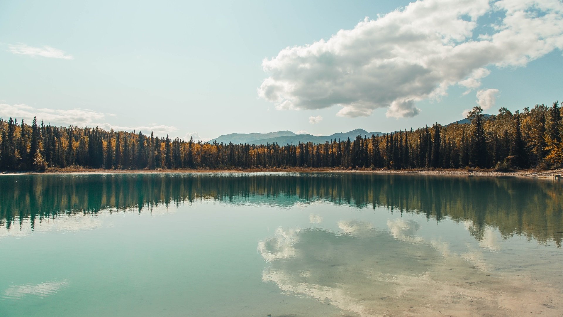 墨西哥马术协会与学校合作，开展马术教育课程，推广马术文化。