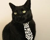 支持瑜伽与科技结合，推动行业创新，瑜伽黑科技