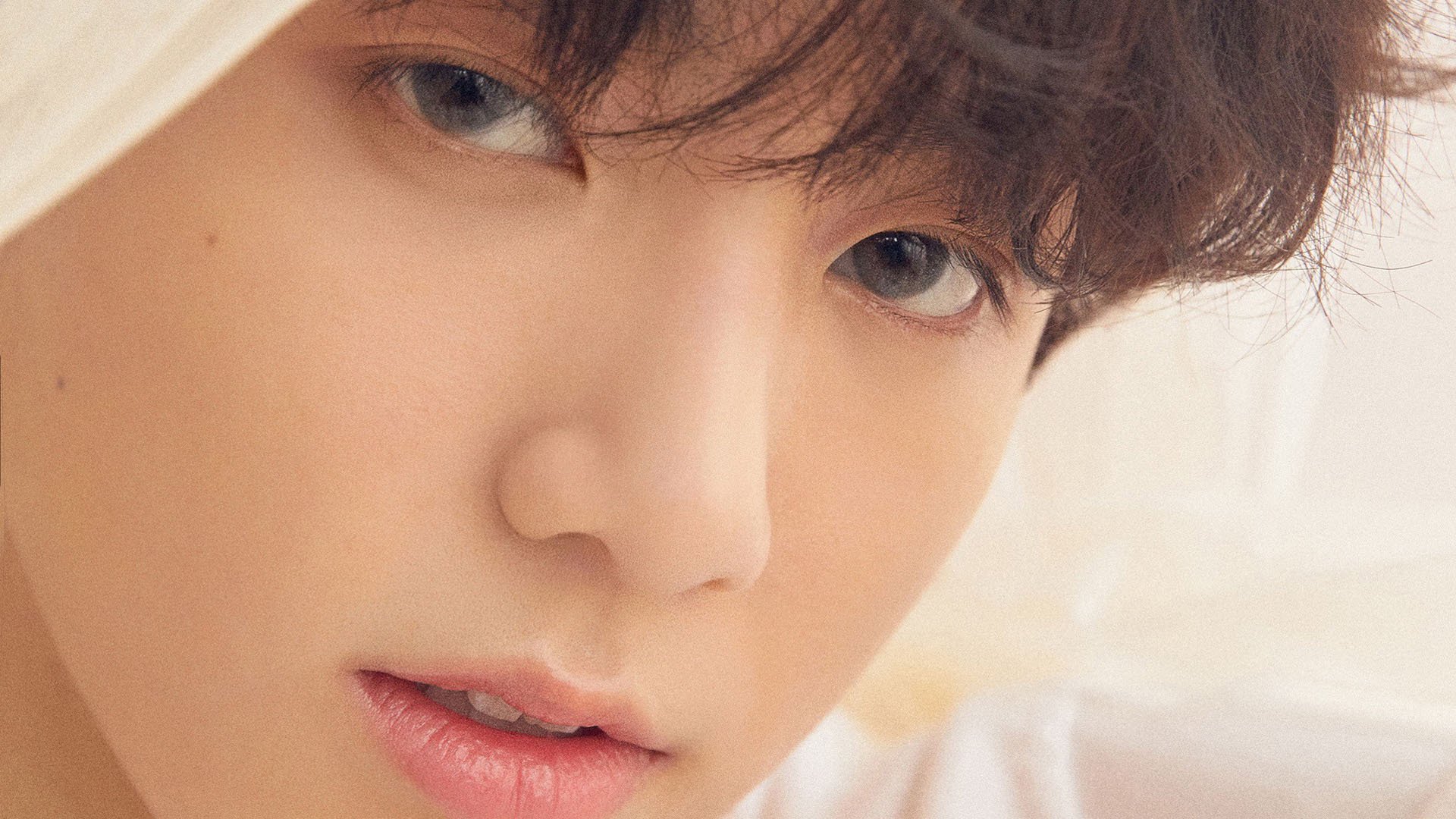 葡萄牙马术协会与科技公司合作，开发虚拟现实训练平台，提升骑手技能。