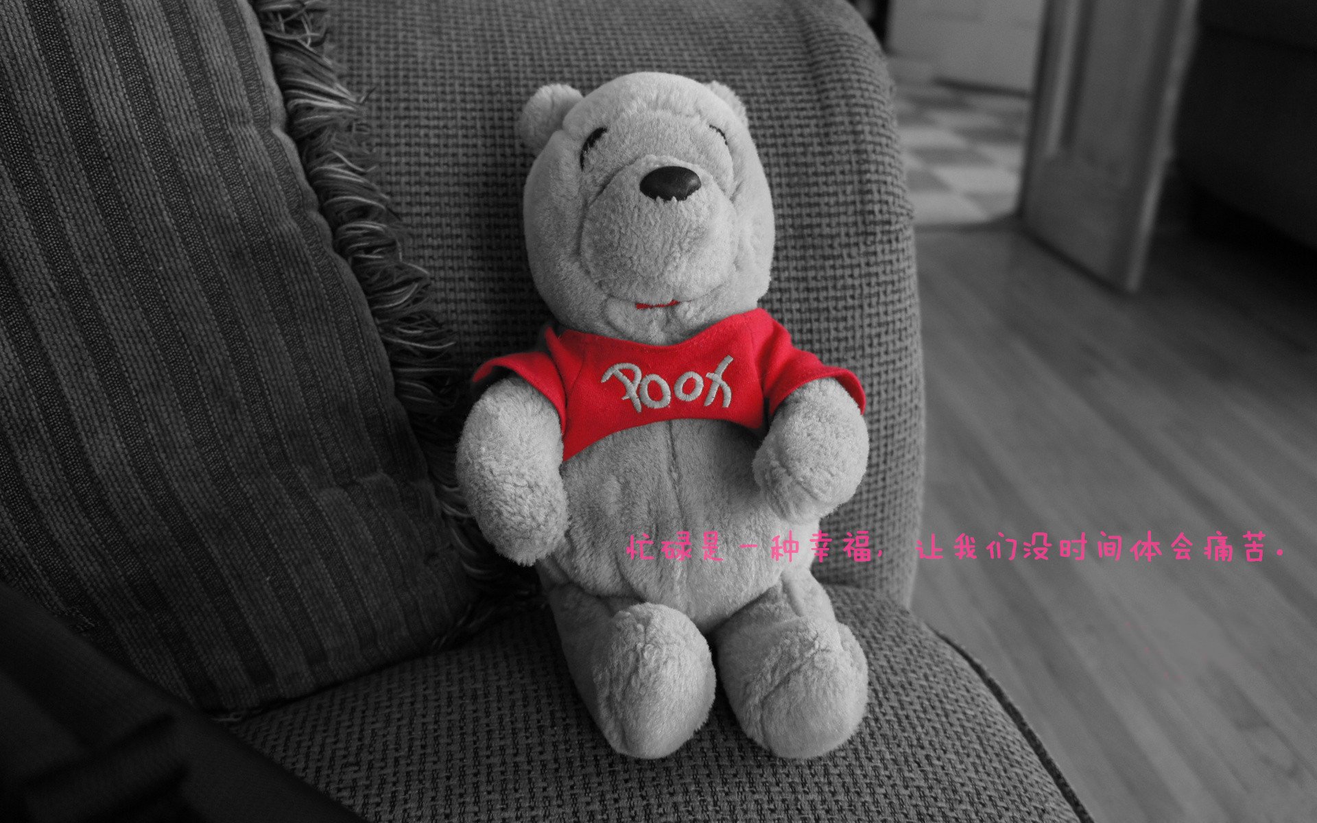 斯图加特客场不败，稳固中游位置，斯图加特二队