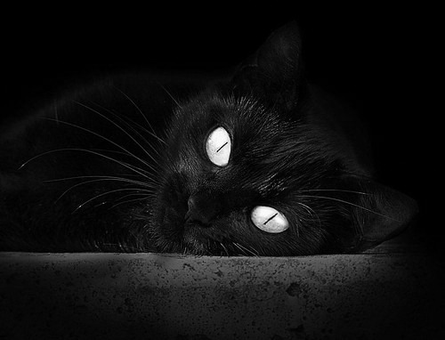 热血传奇！传奇球队迎战无畏对手，传奇对抗赛阵容