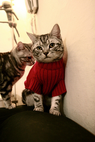 里昂年轻球员表现亮眼，里昂多少岁