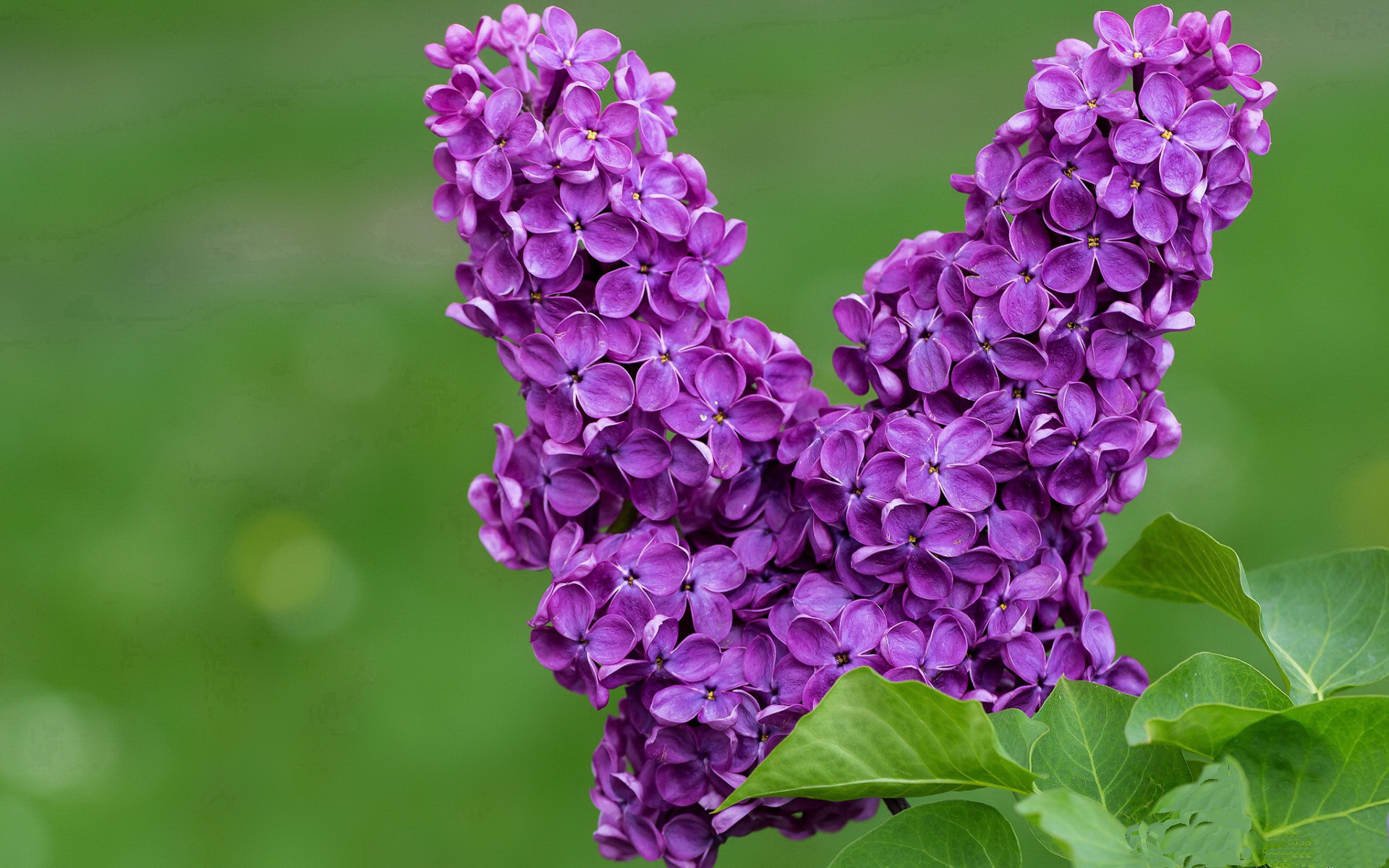 中国篮球教练员职业发展规划及继续教育研究,中国篮球教练员职业发展规划及继续教育研究论文