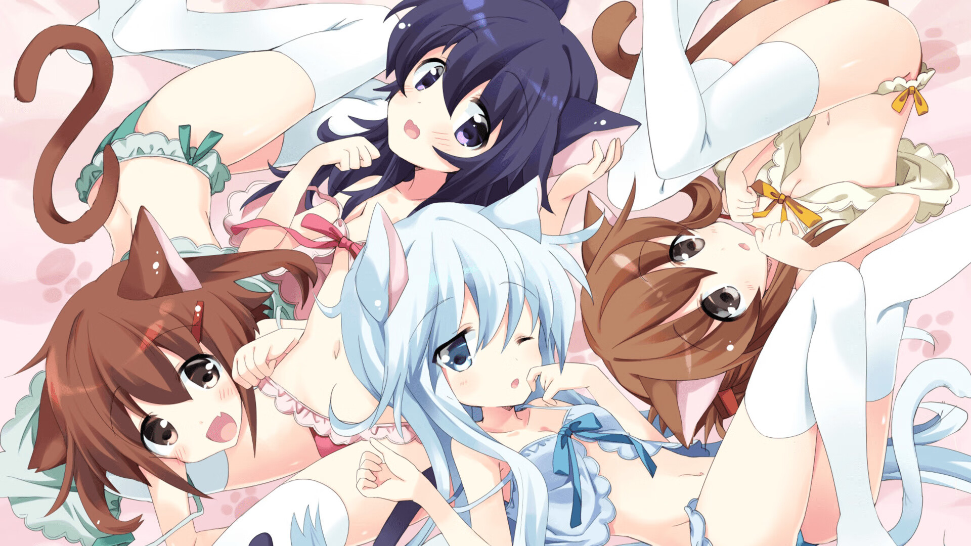 博卡目标：三年内重返南美之巅，博卡是哪个公司的