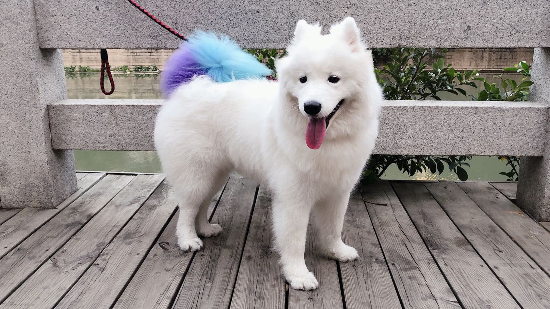 国家冬季项目训练中心配套设施升级完工，国家冬训基地