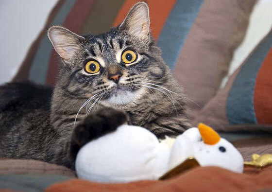 多地校园设置球员见面日推广体育文化增强青少年参与感