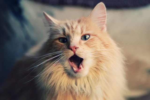 巴雷特：背后稳如磐石，带领全黑队在关键时刻发挥巨大战术影响