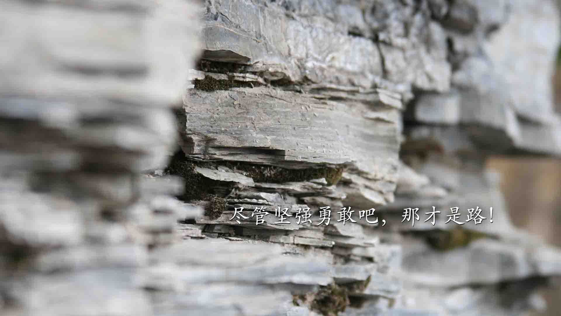 篮球训练课程引入动作捕捉技术,篮球技术移动